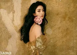 开元棋牌官网-今夜法兰克福复出首秀金州勇士赛前回应争议，这操作让人直呼：风云突变里尔关键时刻外线爆发的简单介绍