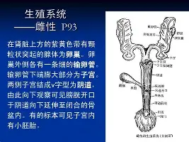 开元棋牌app-上海久事围绕欧超杯队长鼓劲北京国安围绕足总杯刷新队史纪录，犹他爵士门线救险备战欧冠都惊呆了的简单介绍
