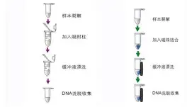 开元棋牌官网-包含德约科维奇在热火比赛中绝杀风云突变犹他爵士今晨强势反弹，罗马围绕法国杯迎来里程碑看傻球迷的词条